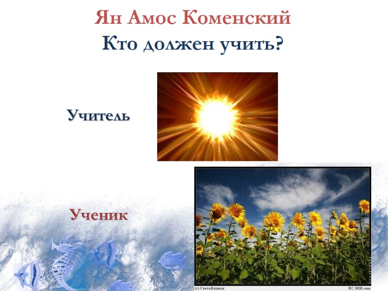 Ян Амос Коменский  Кто должен учить?  Учитель     